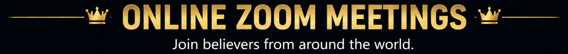 Online Zoom Meetings